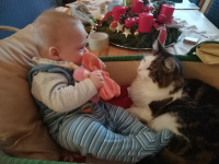 Kind und Katze